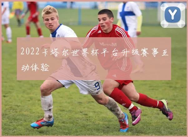 2022卡塔尔世界杯平台升级赛事互动体验