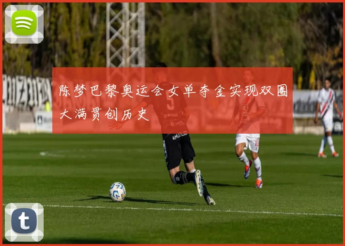 陈梦巴黎奥运会女单夺金实现双圈大满贯创历史