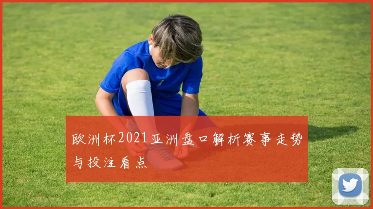 欧洲杯2021亚洲盘口解析赛事走势与投注看点