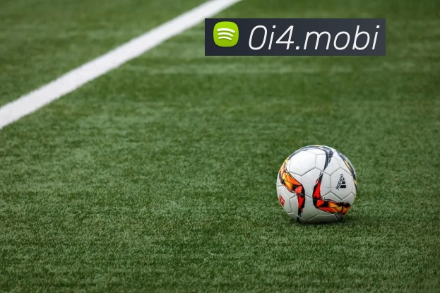 App Interface Preview