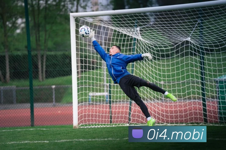 leyu乐鱼在线官网APP 封面图